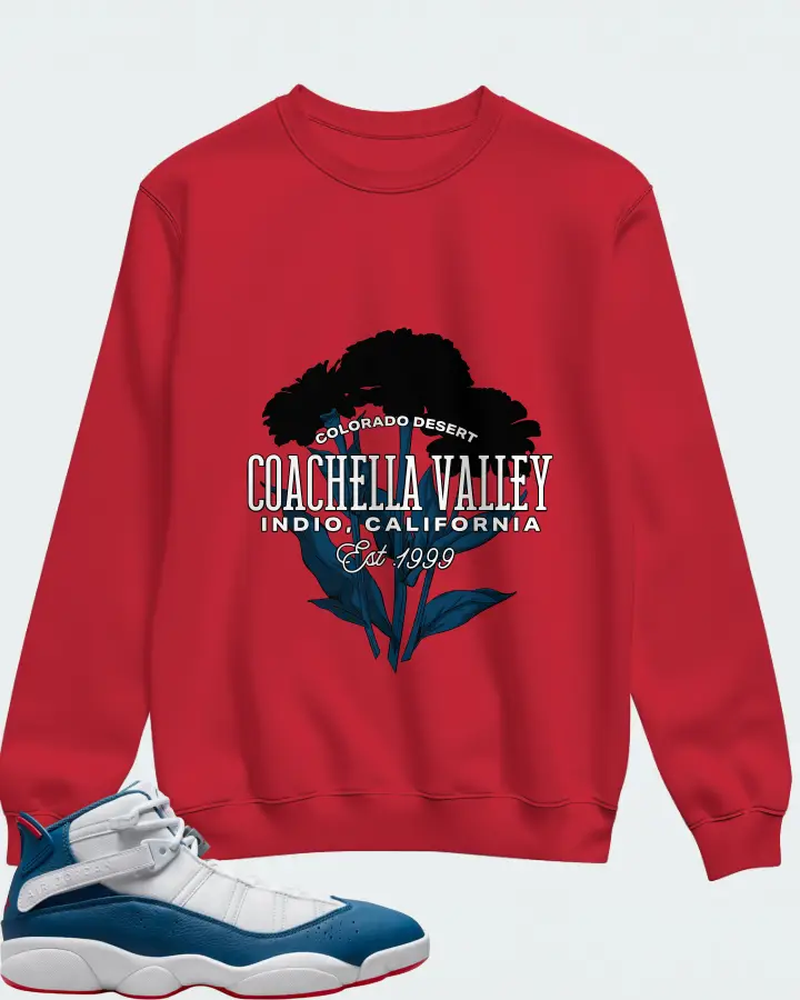 Sweatshirt in Red