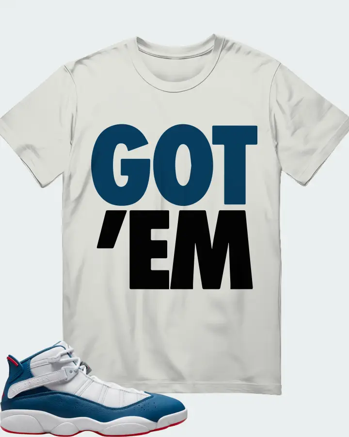 Jordan 6 Rings Sneaker Matching Silver T-Shirt - Got Em