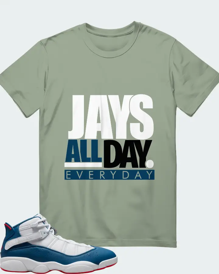 Jordan 6 Rings Sneaker Matching Sage T-Shirt - Jays All Day