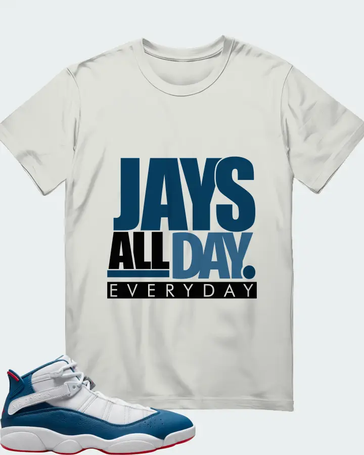 Jordan 6 Rings Sneaker Matching Silver T-Shirt - Jays All Day