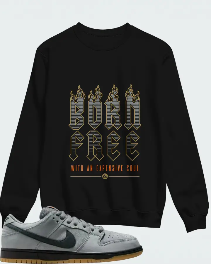 Nike Dunk Low Pro SB Cool Grey Matching Sweatshirt