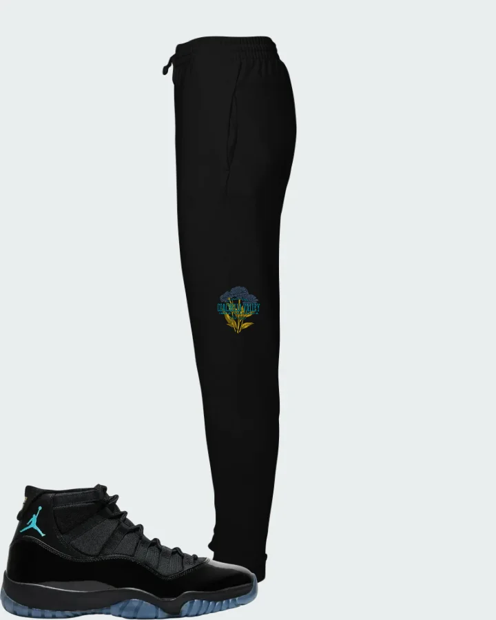 Air Jordan 11 Retro Gamma Blue 2025 Matching Joggers