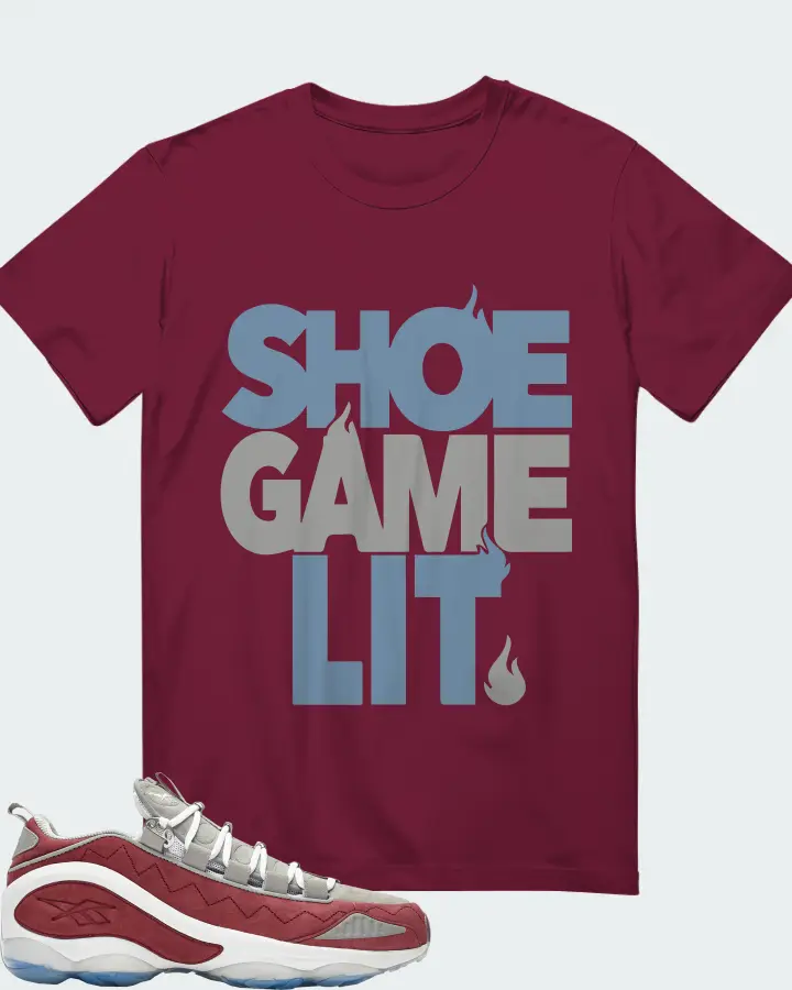 Reebok DMX Run 10 Sneaker Matching T-Shirt - Shoe Game Lit Classic