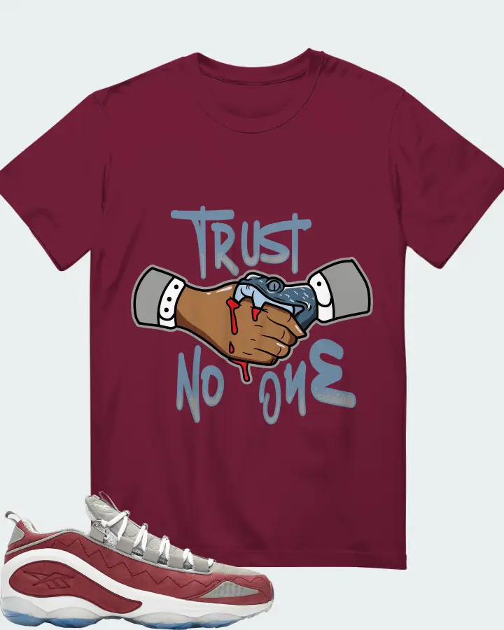 Reebok DMX Run 10 Sneaker Matching T-Shirt - Trust No One