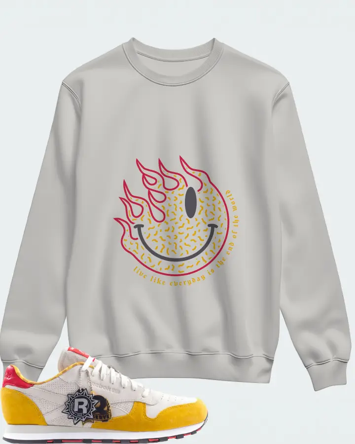 Sweatshirt in Grey