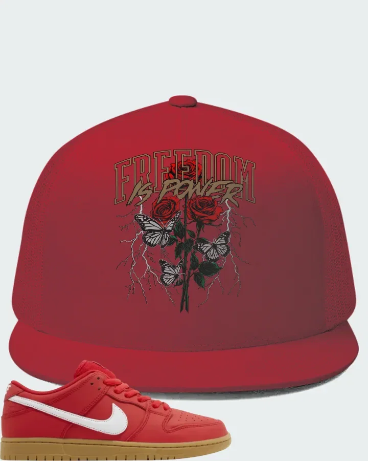 Nike Dunk Low Pro SB University Red Gum Matching Hat