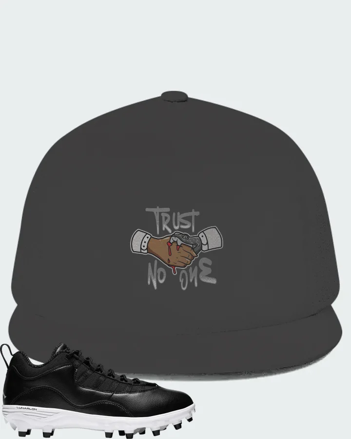 Jordan 10 TD Low  Sneaker Matching Dark Grey Hat - Trust No One
