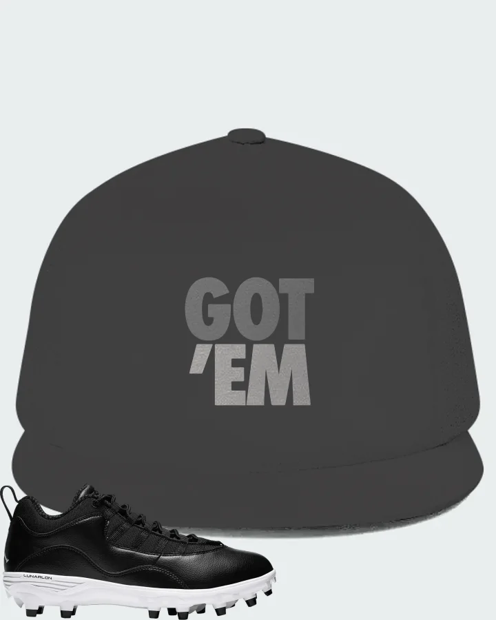 Jordan 10 TD Low  Sneaker Matching Dark Grey Hat - Got Em