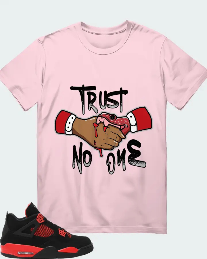 Jordan 4 Retro Sneaker Matching Soft Pink T-Shirt - Trust No One