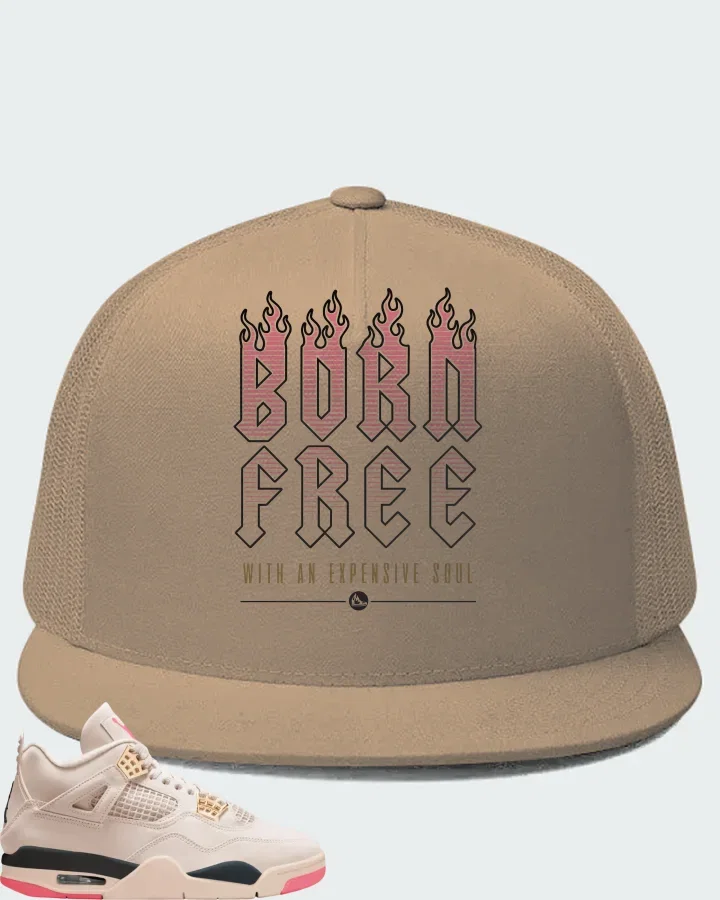 Air Jordan 4 Birds of Paradise Matching Hat