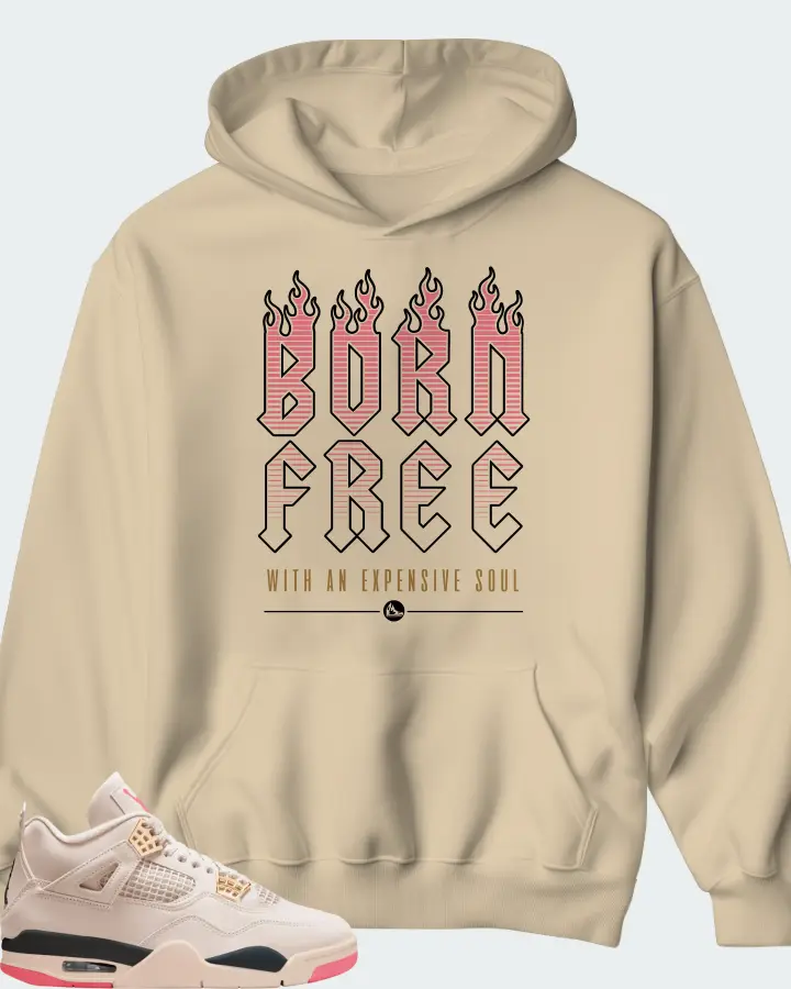 Air Jordan 4 Birds of Paradise Matching Hoodie