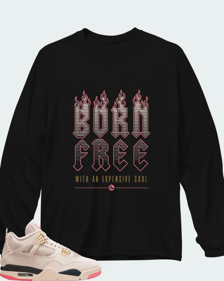 Air Jordan 4 Birds of Paradise Matching Long Sleeve T-Shirt