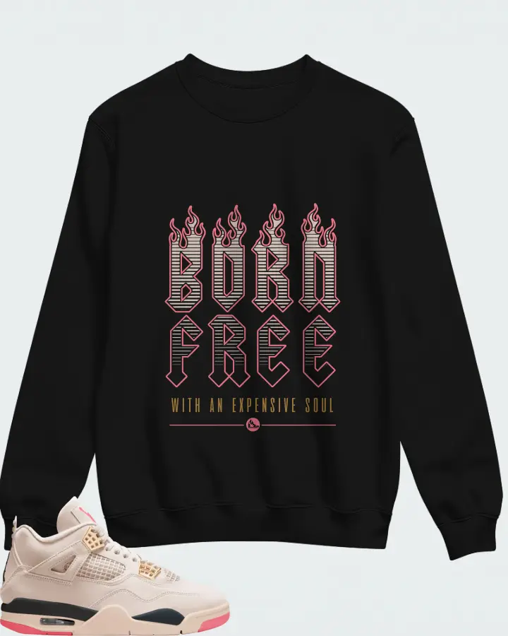 Air Jordan 4 Birds of Paradise Matching Sweatshirt