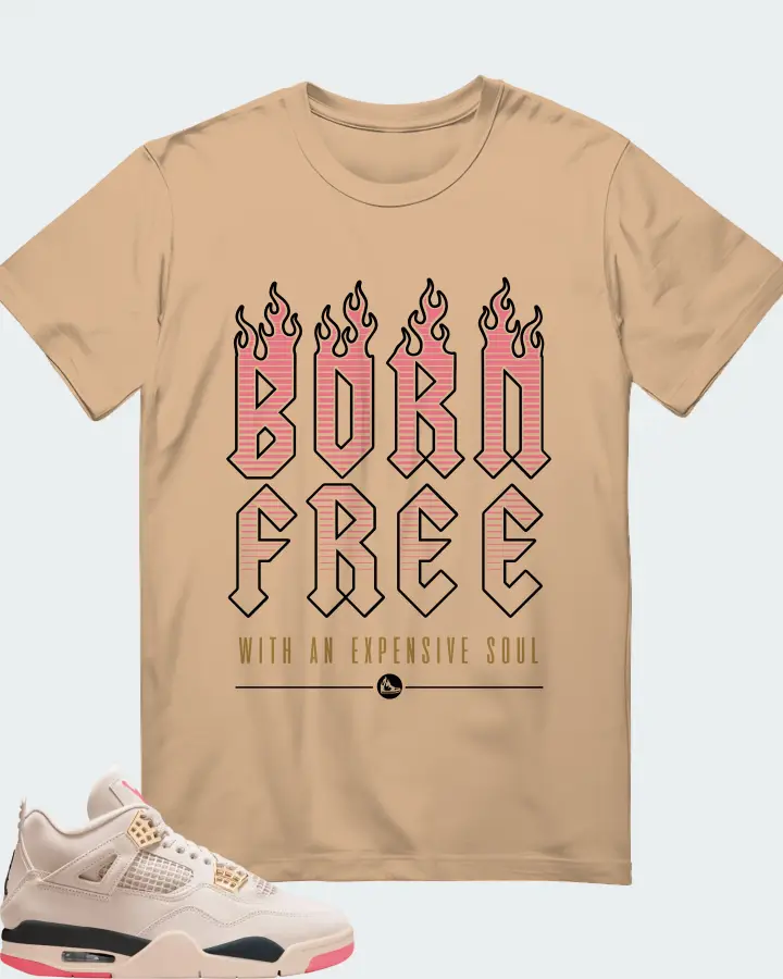 Air Jordan 4 Birds of Paradise Matching T-Shirt
