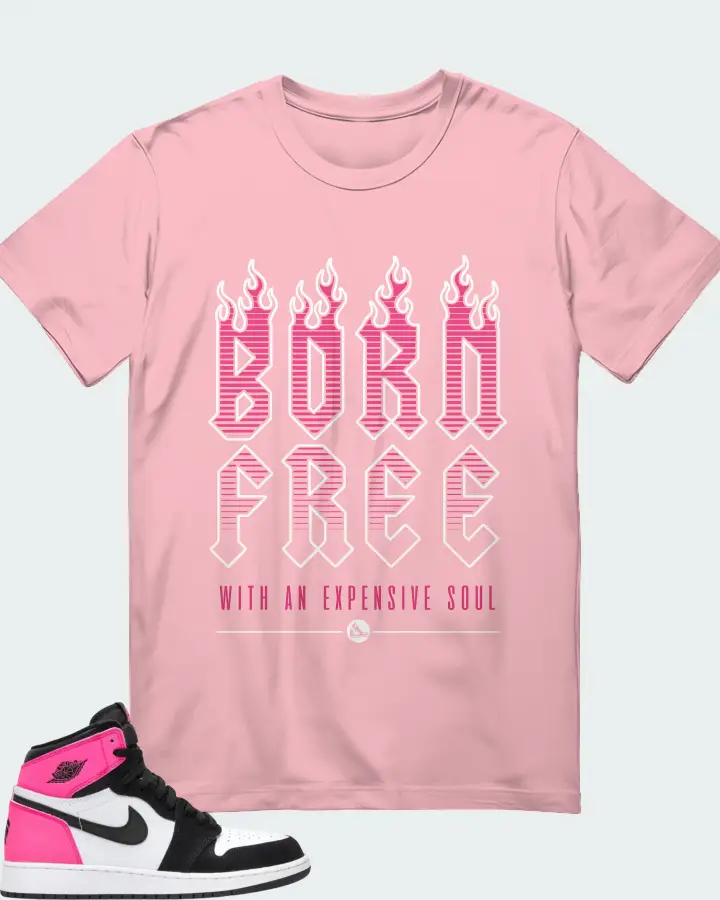 Air Jordan 1 Retro High GG Valentine's Day Matching T-Shirt
