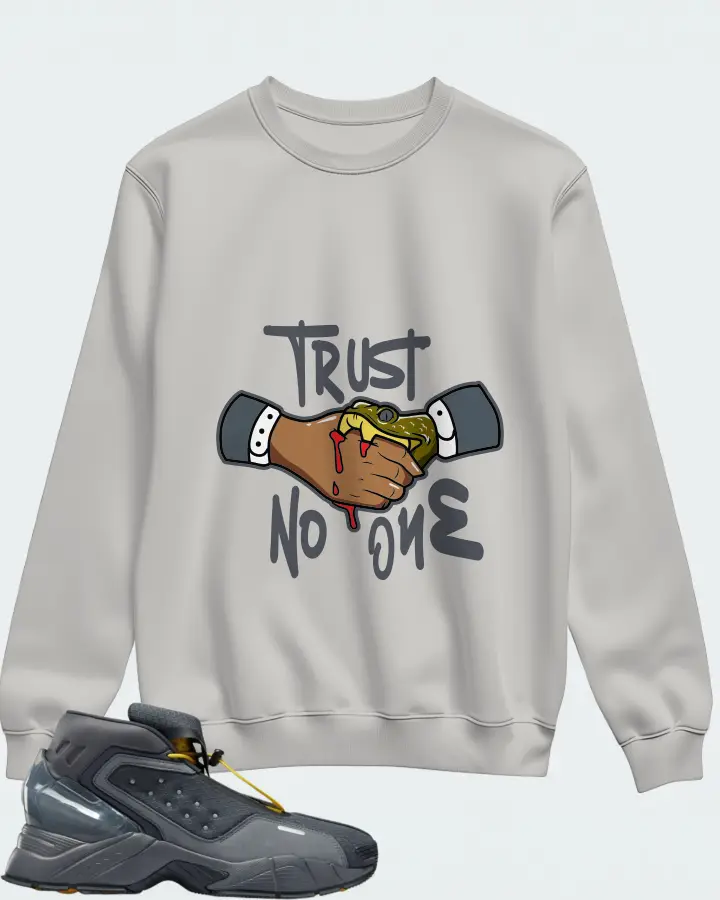 Sweatshirt in Grey