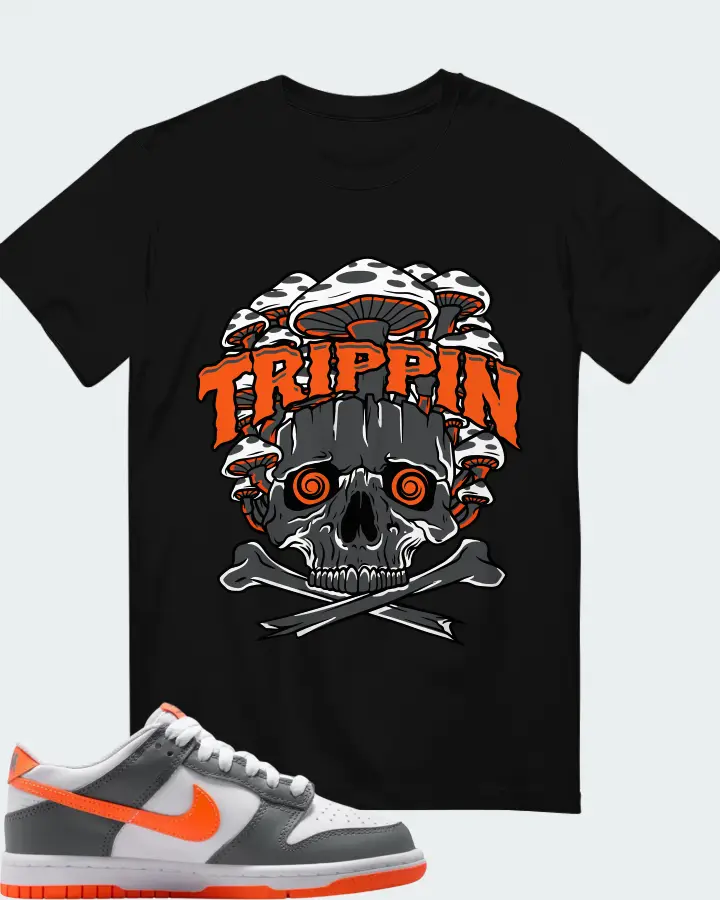 Nike Dunk Dark Grey Orange Matching T-Shirt