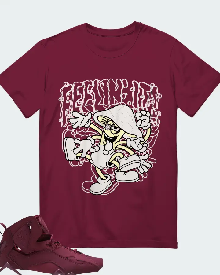 Air Jordan True Flight Burgundy Matching T-Shirt