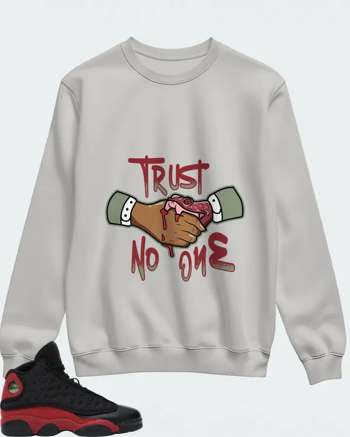 Jordan 13 Retro Sneaker Matching Grey Sweatshirt - Trust No One