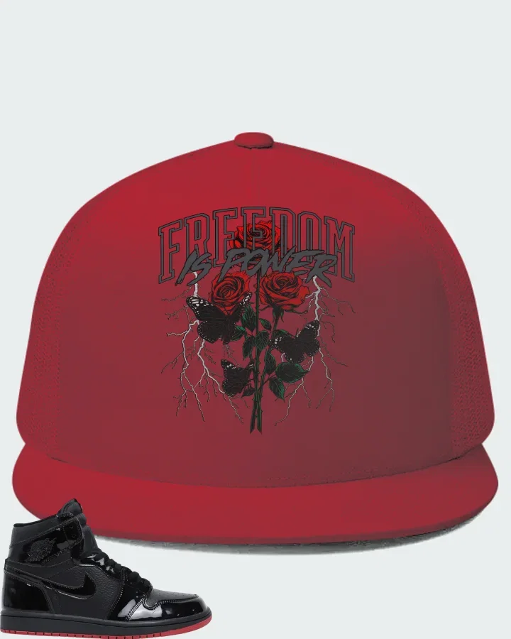 Air Jordan 1 Retro High SP Gina  Matching Hat