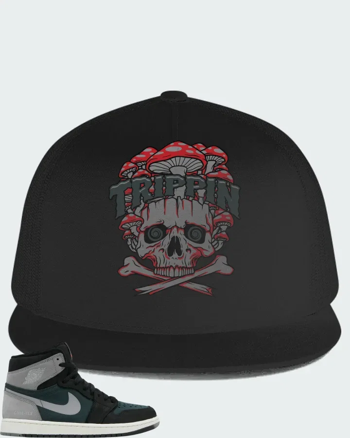 Air Jordan 1 High Element GORE-TEX Black Particle Grey Matching Hat