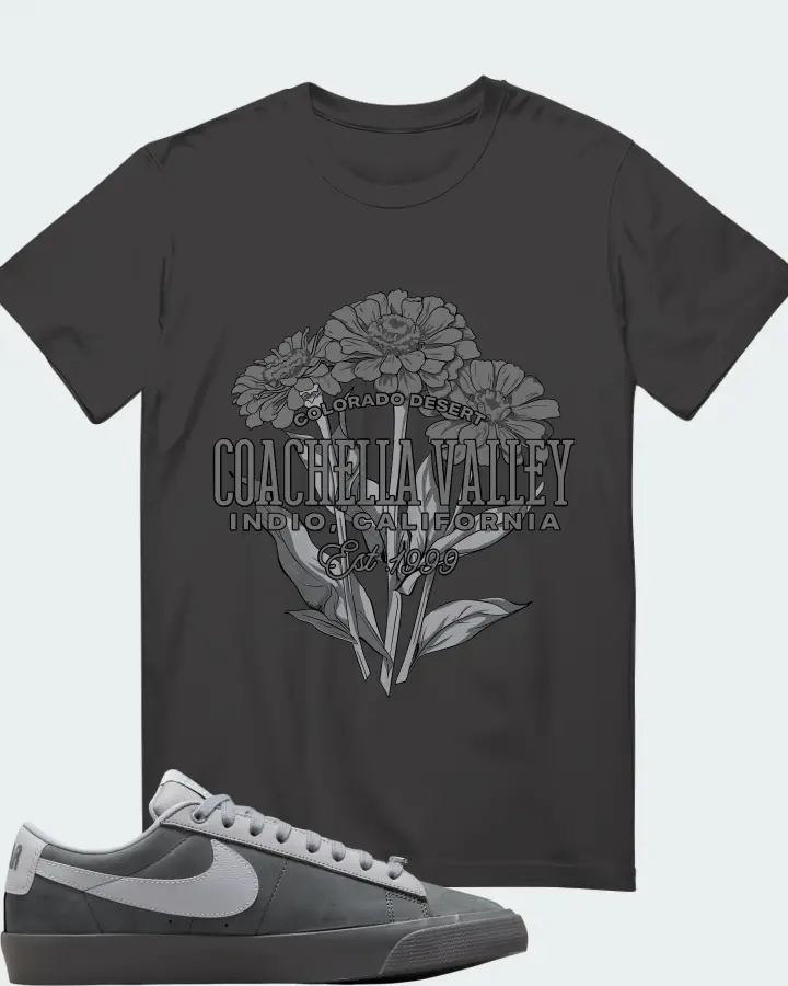 Nike SB Blazer Low FPAR Cool Grey Matching T-Shirt