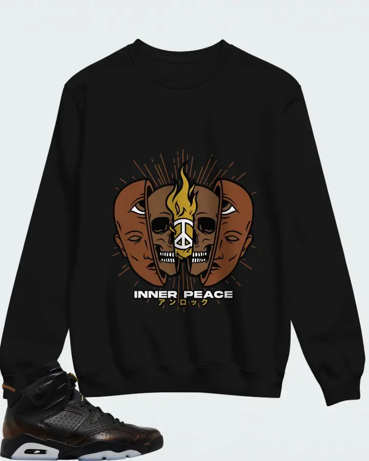 Air Jordan 6 Retro Xuanwu Matching Sweatshirt