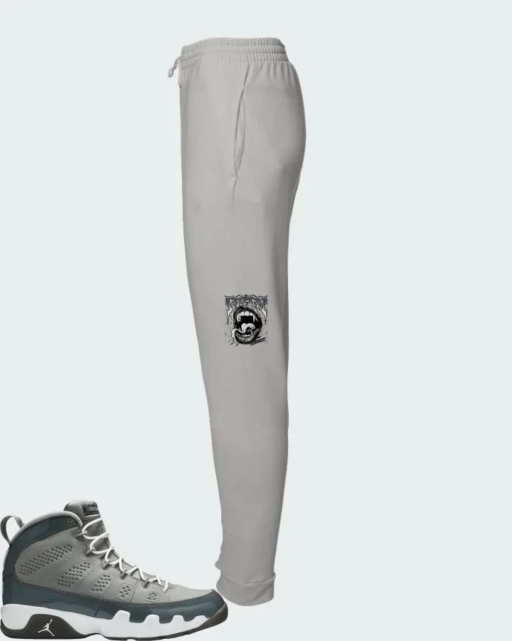 Air Jordan 9 Cool Grey Matching Joggers