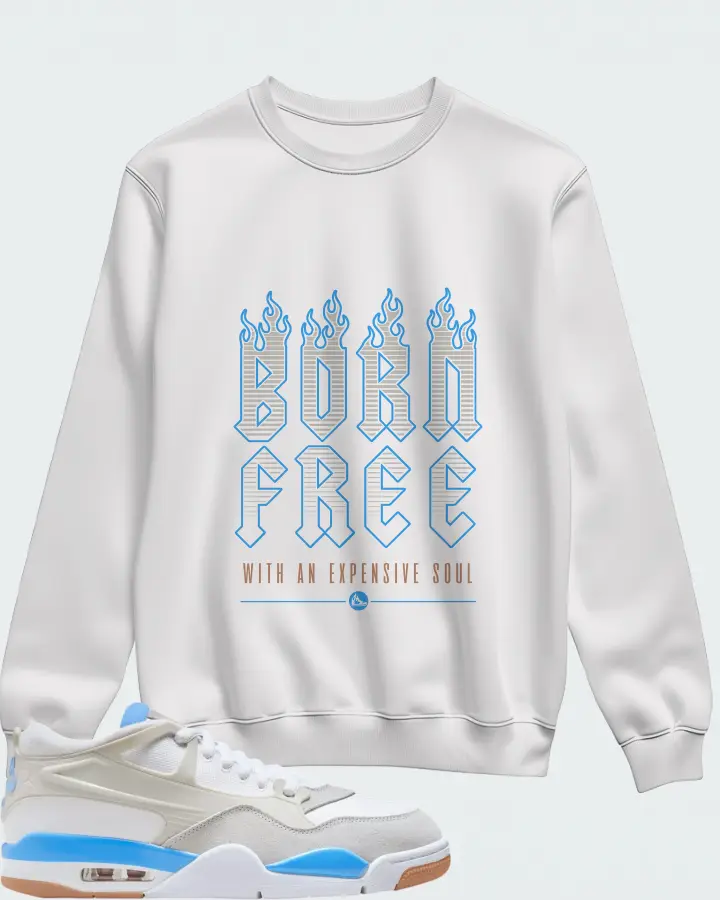 Air Jordan 4 RM University Blue Matching Sweatshirt