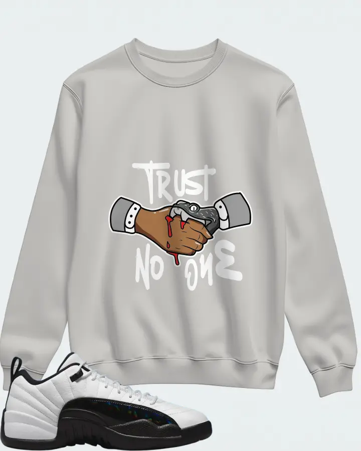 Jordan 12 Low Sneaker Matching Grey Sweatshirt - Trust No One
