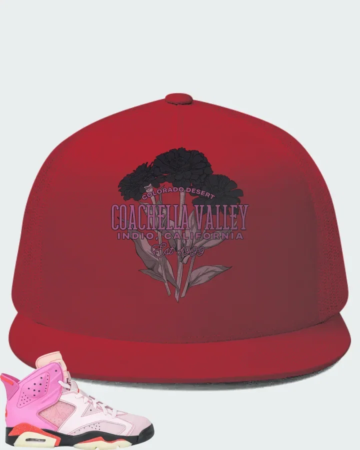 Awake NY x Air Jordan 6 Retro Playful Pink Matching Hat