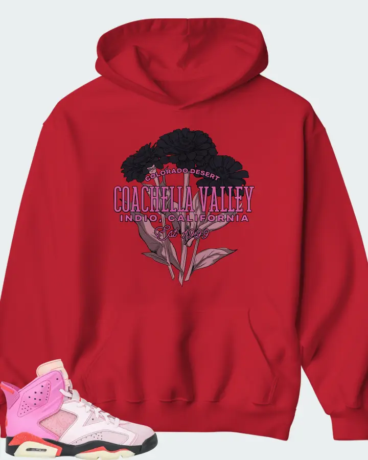 Awake NY x Air Jordan 6 Retro Playful Pink Matching Hoodie