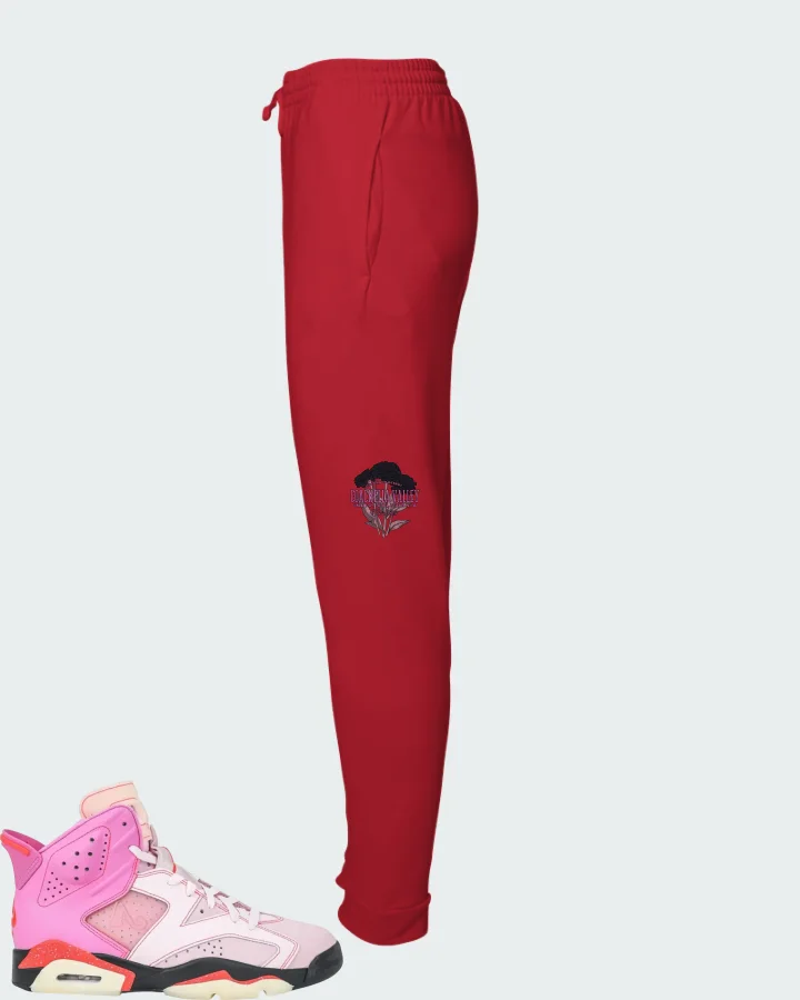 Awake NY x Air Jordan 6 Retro Playful Pink Matching Joggers