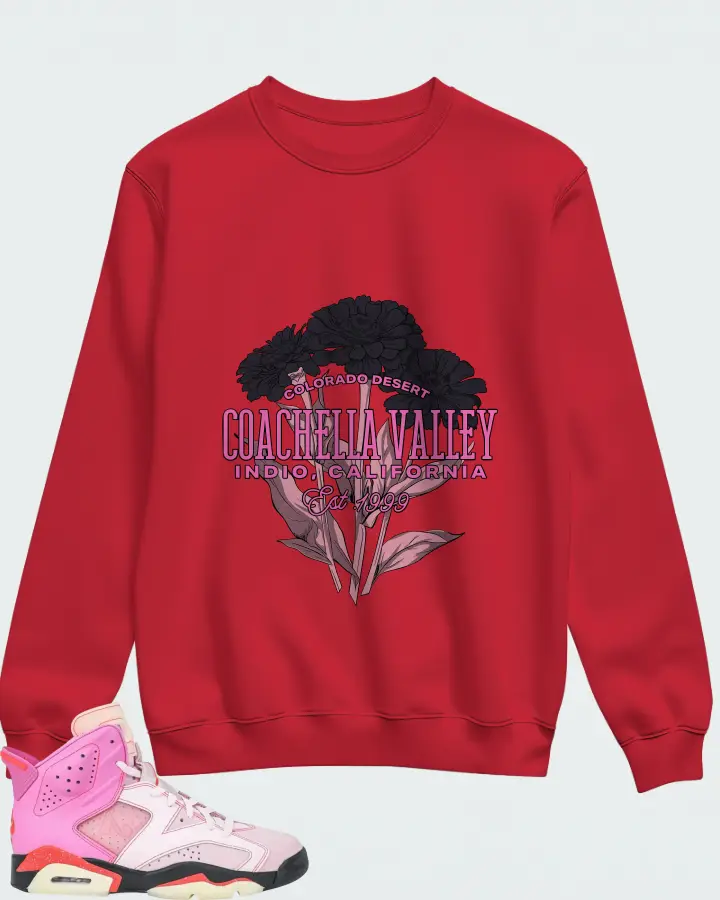 Awake NY x Air Jordan 6 Retro Playful Pink Matching Sweatshirt