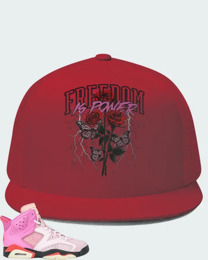 Awake NY x Air Jordan 6 Retro Playful Pink Matching Hat