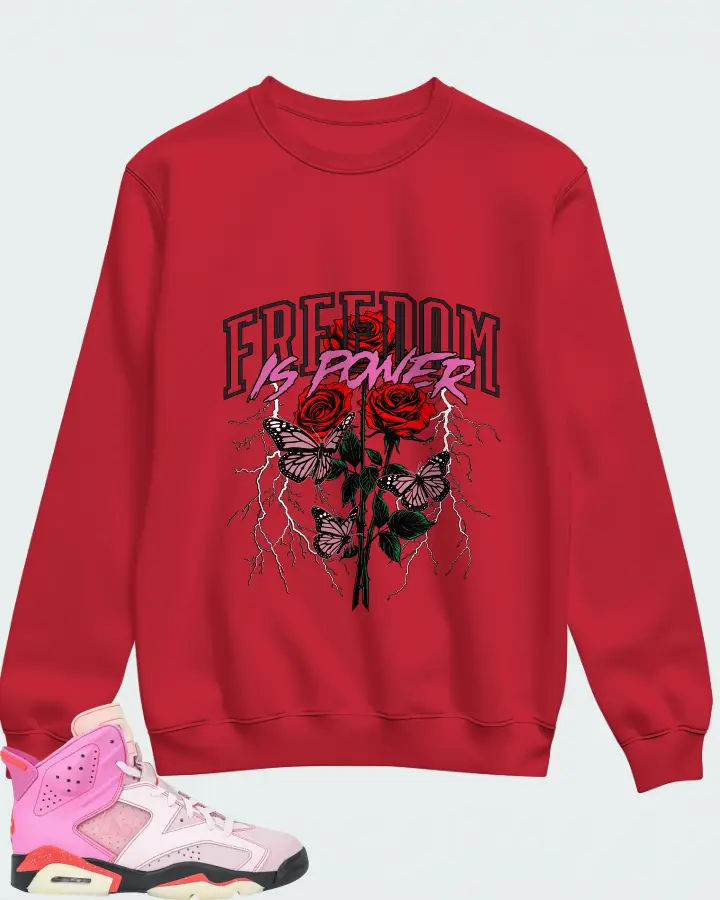 Awake NY x Air Jordan 6 Retro Playful Pink Matching Sweatshirt