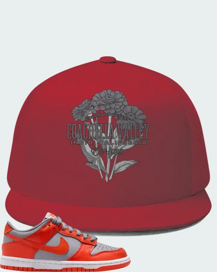Nike Dunk Low GS Cement Grey Team Orange Matching Hat