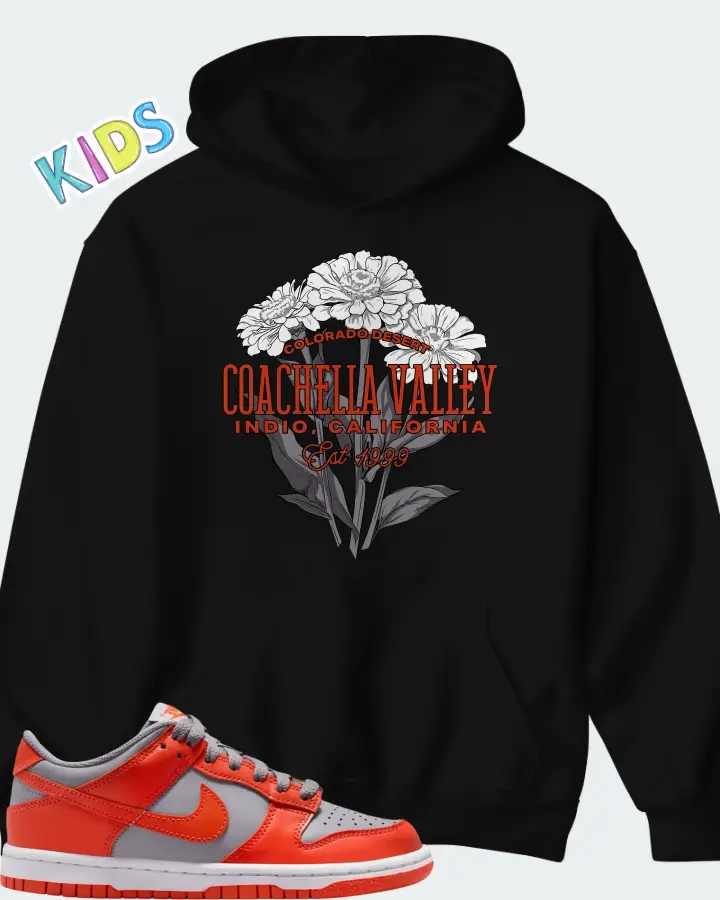 Nike Dunk Low GS Cement Grey Team Orange Matching Kid's Hoodie