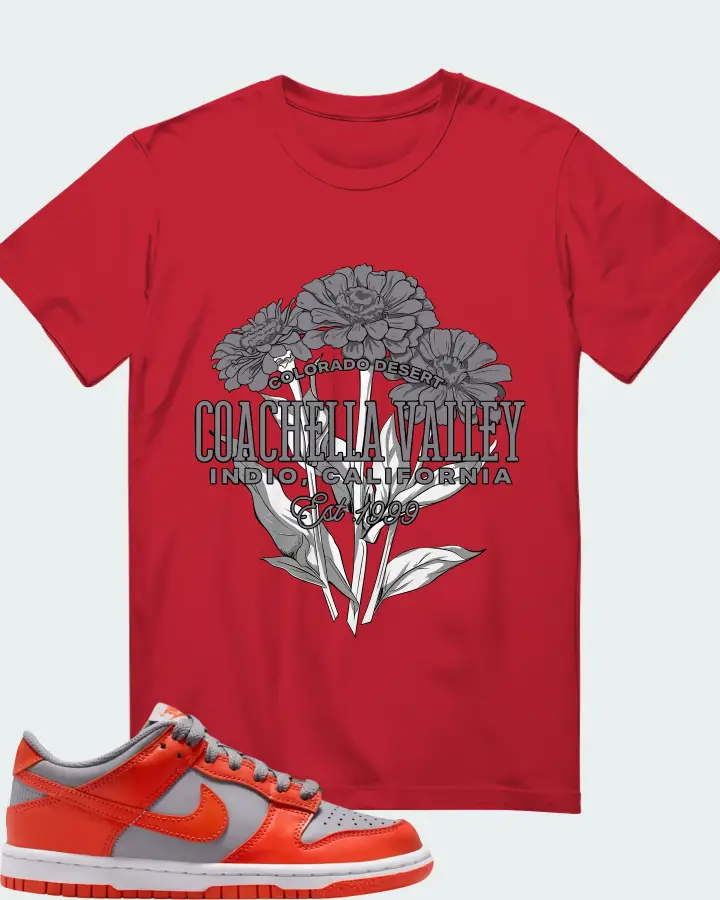 Nike Dunk Low GS Cement Grey Team Orange Matching T-Shirt