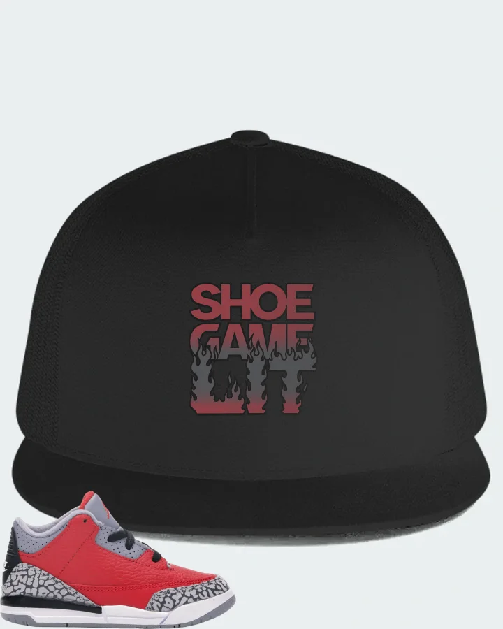 Jordan 3 Retro Sneaker Matching Black Hat - Shoe Game Lit Refreshed