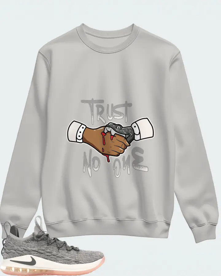 Nike LeBron 15 Low Sneaker Matching Grey Sweatshirt - Trust No One