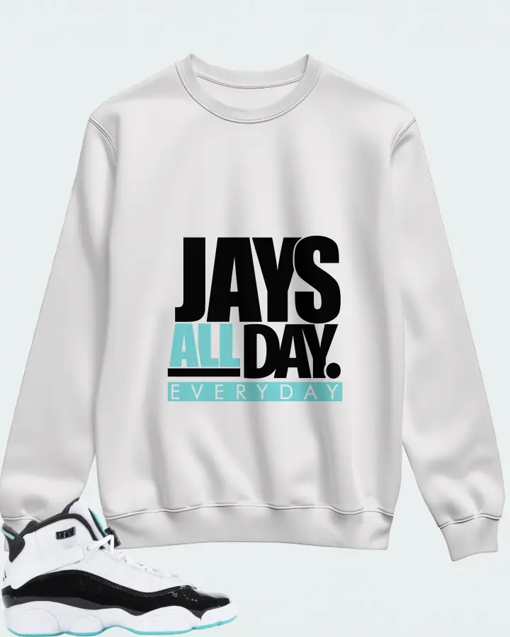 Jordan 6 Rings Sneaker Matching White Sweatshirt - Jays All Day