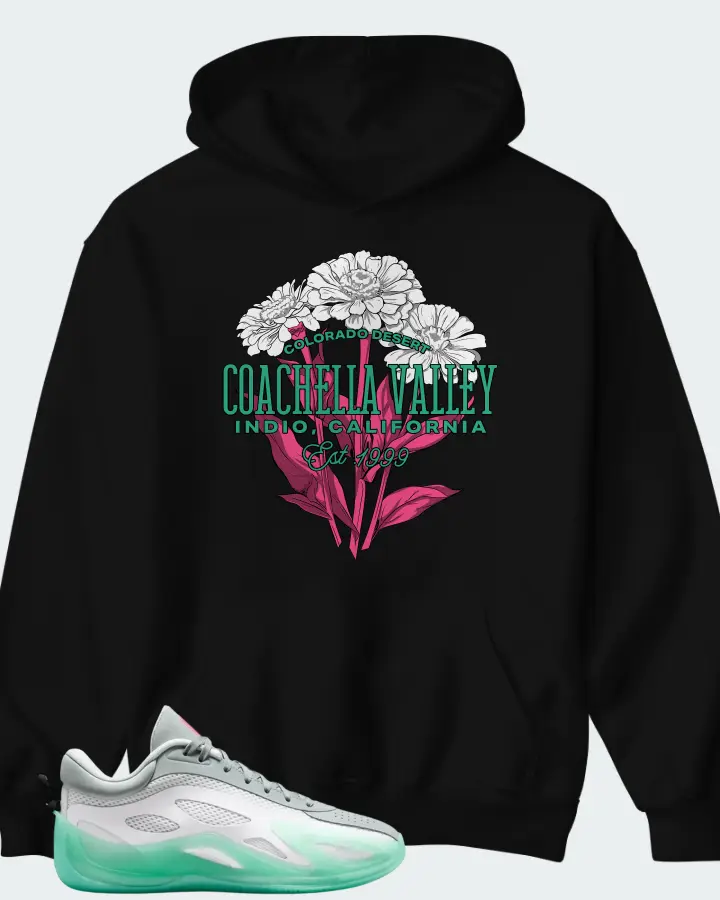 Air Jordan Jordan Heir Series 2 South Beach Matching Hoodie