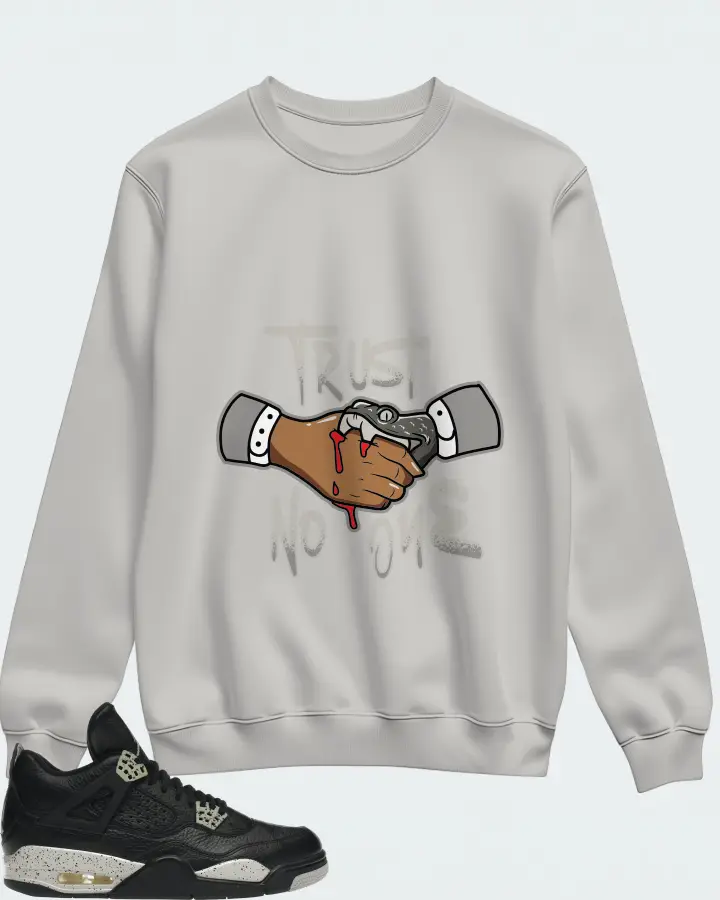 Sweatshirt in Grey