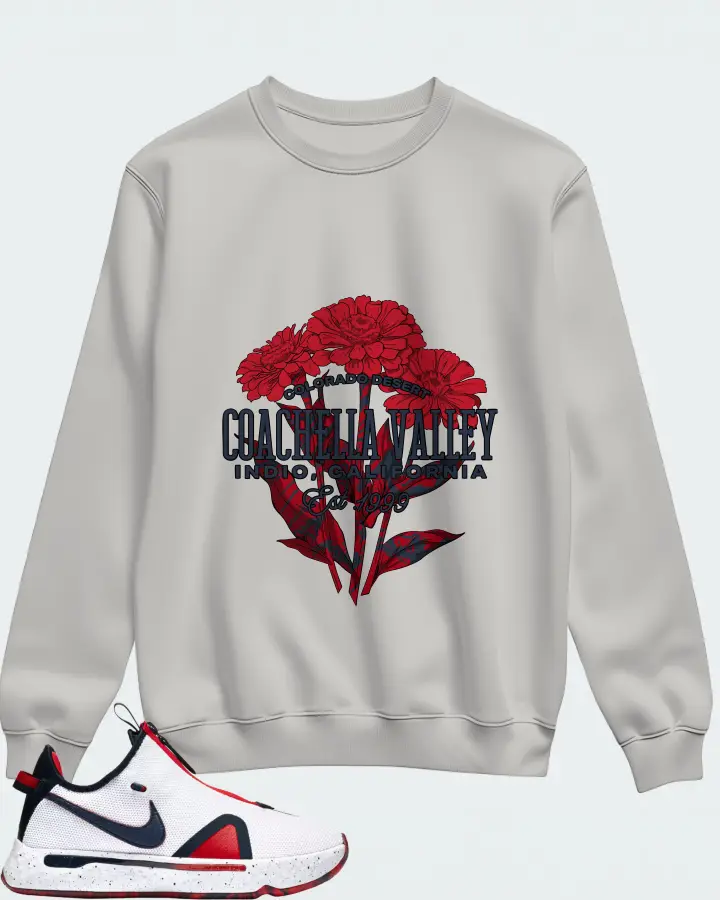 Sweatshirt in Grey