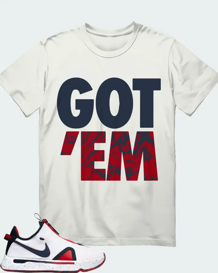 Nike PG 4 Sneaker Matching Ash T-Shirt - Got Em
