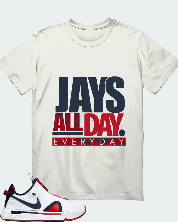 Nike PG 4 Sneaker Matching Ash T-Shirt - Jays All Day