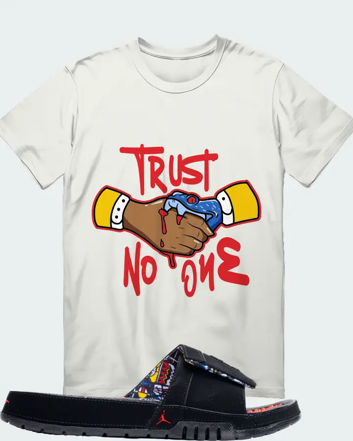 Jordan Hydro 8 Retro Slide Sneaker Matching Ash T-Shirt - Trust No One