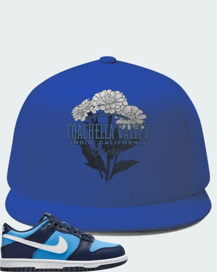Dunk Low University Blue Matching Hat