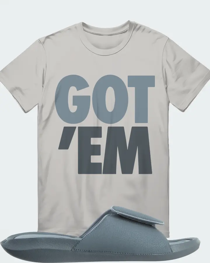 Jordan Hydro 6 Sneaker Matching Grey T-Shirt - Got Em